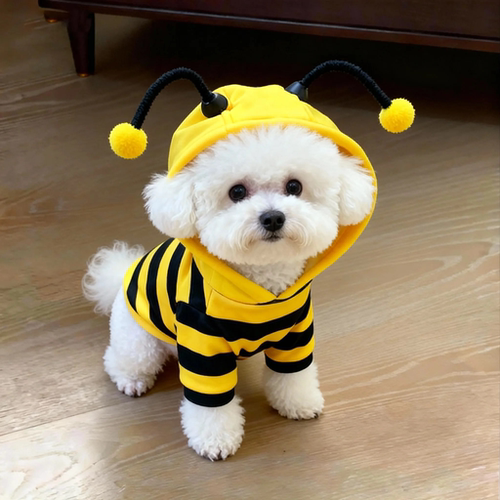 狗狗衣服春秋款蜜蜂装柯基泰迪比熊贵宾中小型犬宠物猫咪保暖卫衣
