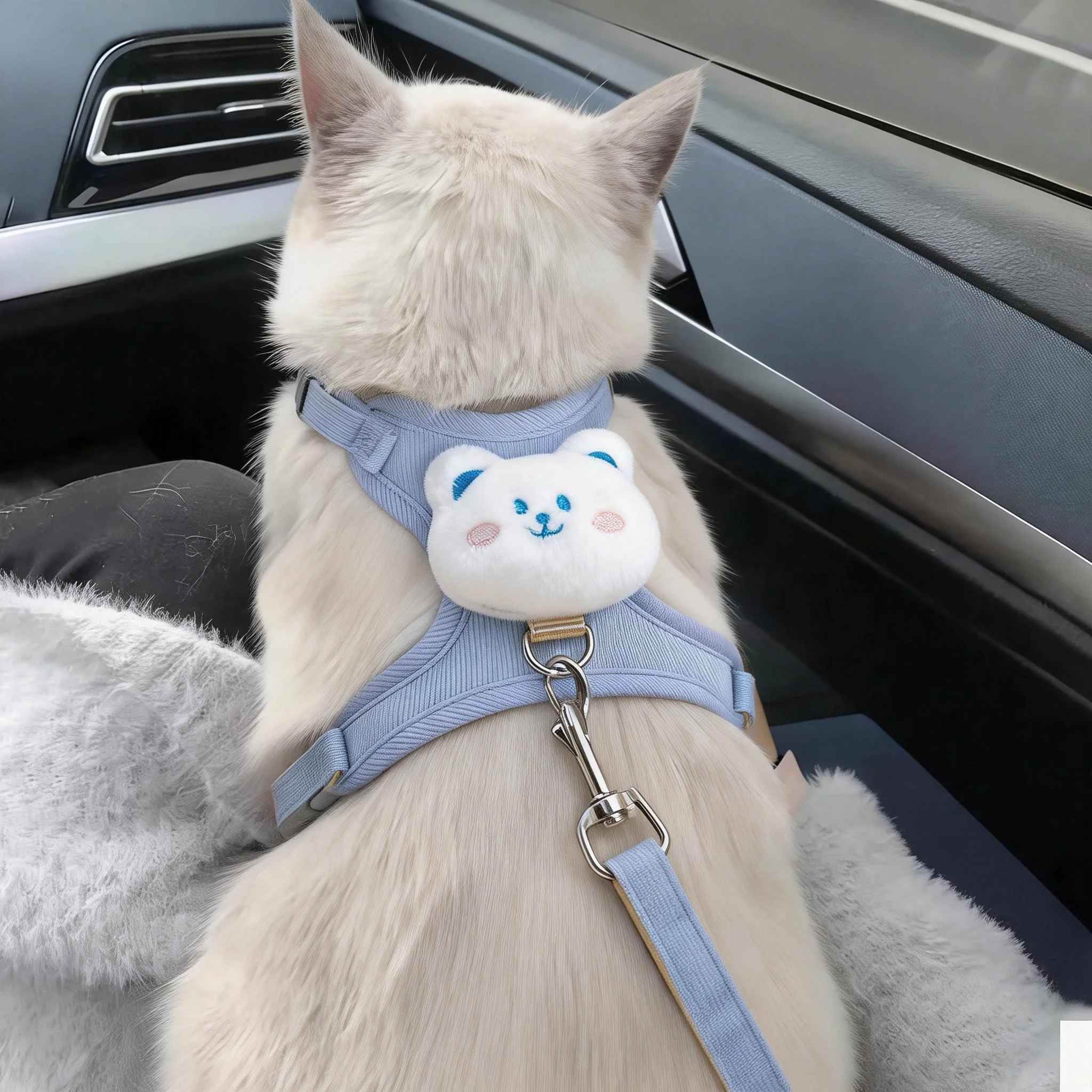 猫咪牵引绳自动伸缩防挣脱专用背心式网红遛猫绳英短外出专用猫链,宠物/宠物食品及用品,猫牵引绳,淘宝优惠券,粉丝福利购,淘宝优惠卷