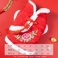 Красный пион