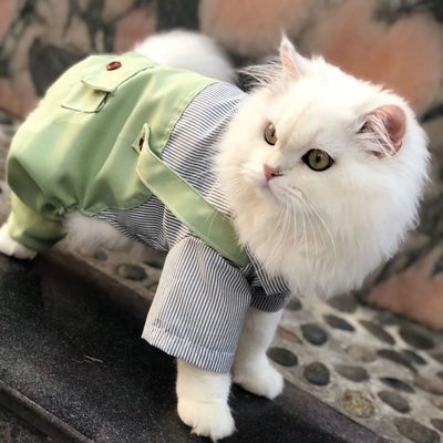 宠物猫咪衣服四脚衣条纹背带裤薄款蓝猫布偶小奶猫春夏季防掉毛