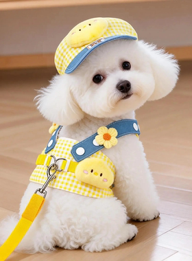 狗狗牵引绳胸背带小型犬泰迪比熊约克夏马尔济斯幼犬背心式遛狗绳