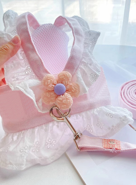 可爱猫咪牵引绳可调节防挣脱胸背带背心式猫绳子小猫幼猫专用遛猫