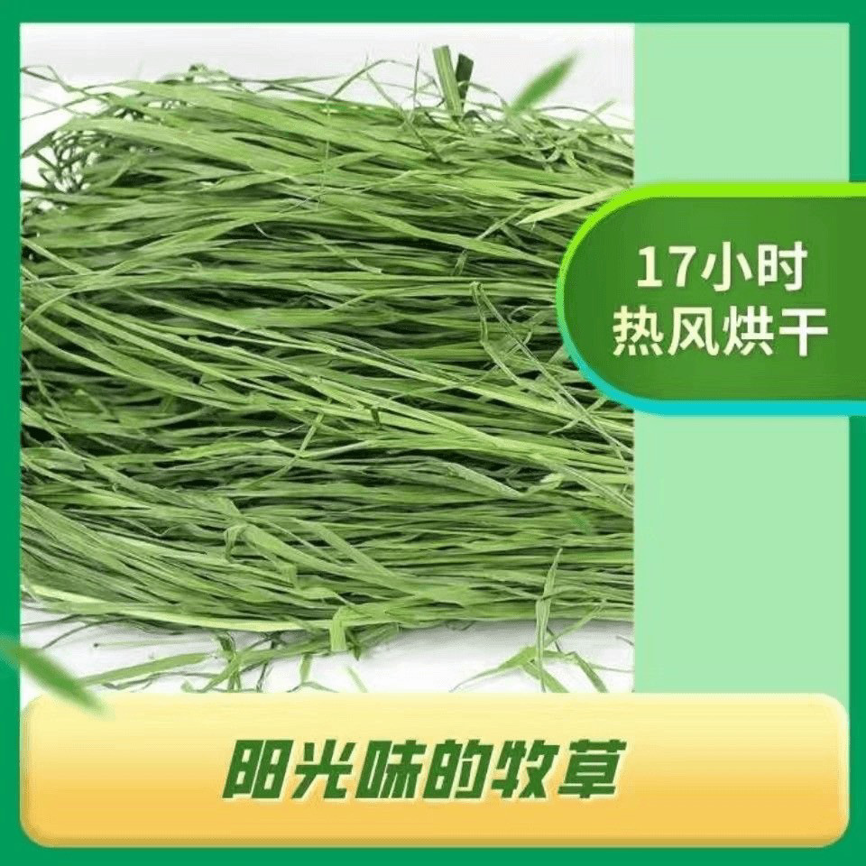 精选烘干多叶提摩西草兔兔荷兰猪龙猫干草牧草兔粮,宠物/宠物食品及用品,兔兔干草,淘宝优惠券,粉丝福利购,淘宝优惠卷
