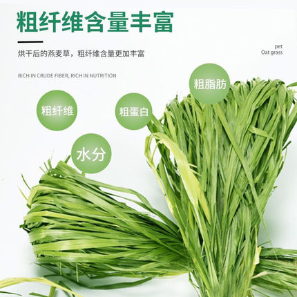 【烘干宽叶燕麦草】适口性更好 兔兔荷兰猪 龙猫兔粮牧草磨牙
