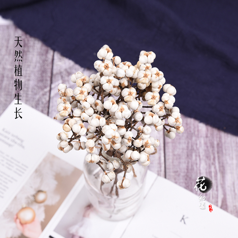 【小白果】天然樹枝干花永生DIY配花白色薏米果禮盒配材室內道具