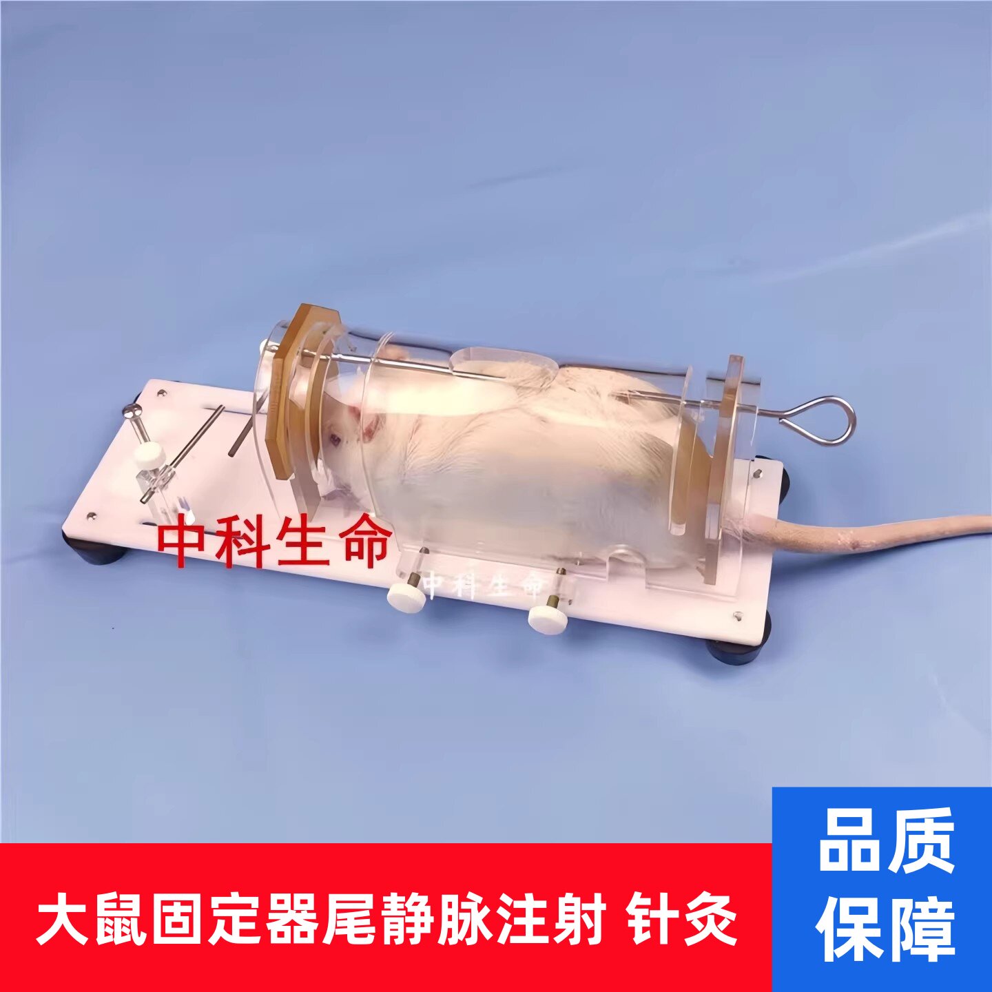 大鼠固定器实验大鼠尾静脉注射神器筒架子固定板束缚针灸腹腔保定