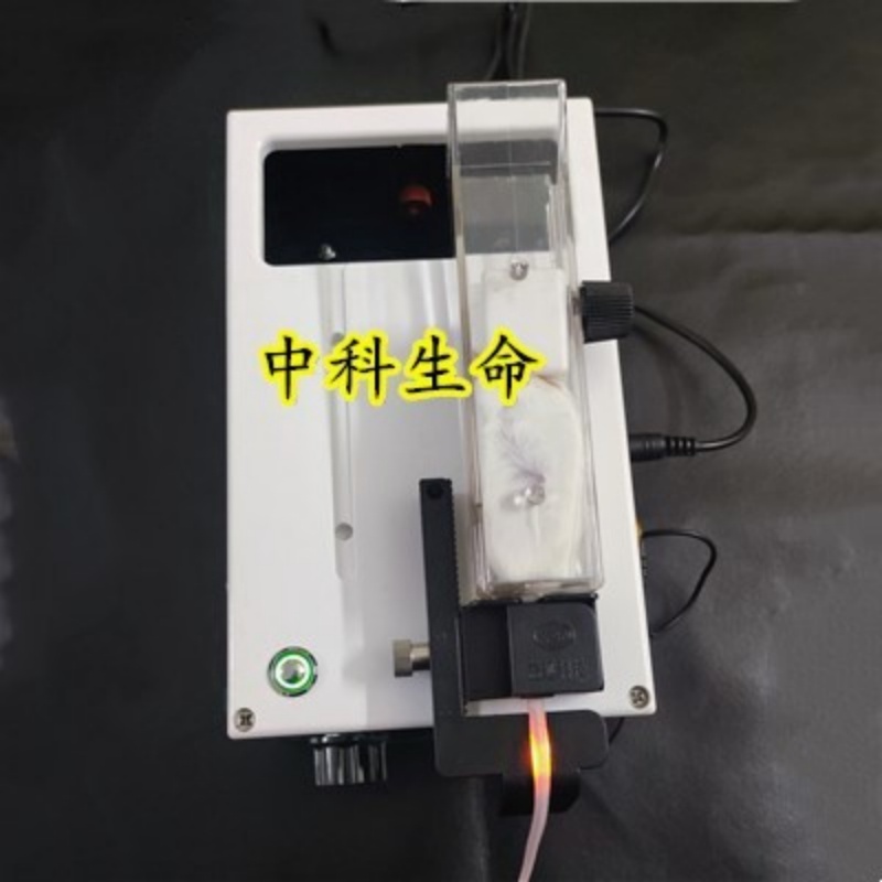 静脉可视小鼠尾注固定器尾注神器