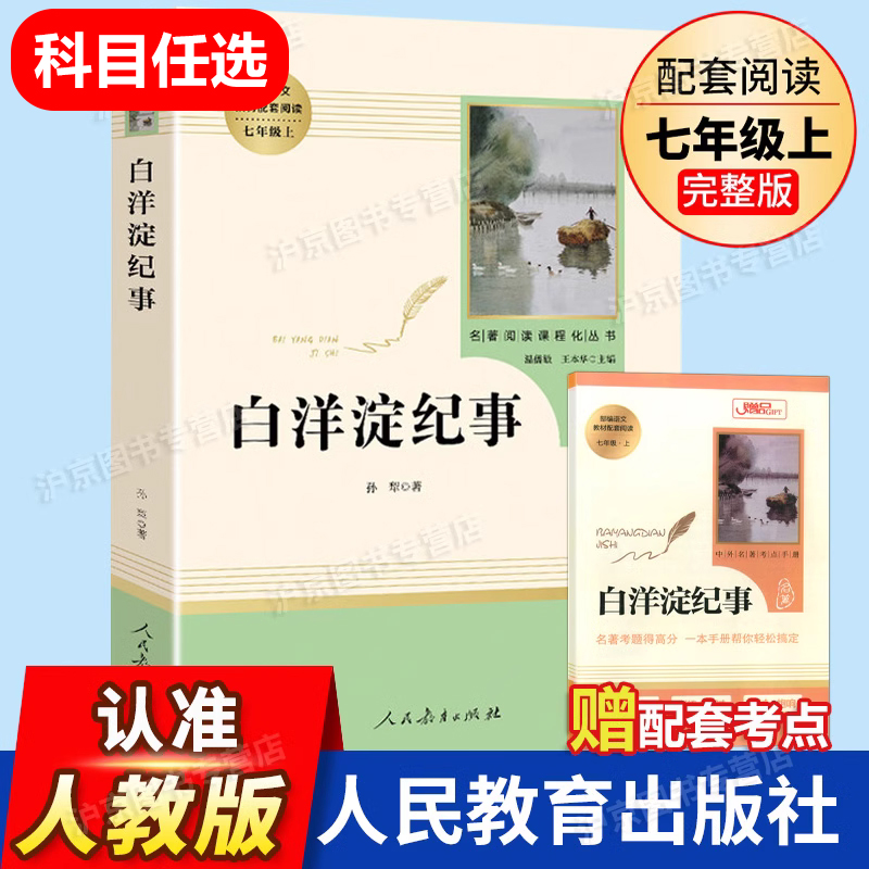 白洋淀纪事正版包邮初中生