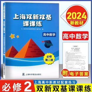 上海双新双基课课练 高中数学 必修第二册  高中数学 必修2第二册 高1下/高一年级第二学期 上海版新课改教材配套辅导同步练习