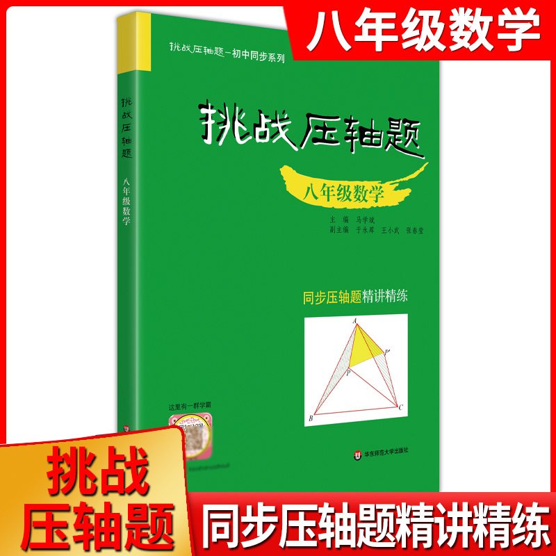 挑战压轴题 八年级数学 8年级数学 中考压轴题数学初中复习资料教辅初中同步系列同步压轴题精讲精练马学斌主编华东师范大学出版社