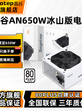 鑫谷AN/AM650W冰山版白色电脑电源台式机550W主机电源750W