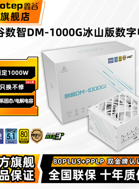 鑫谷数智DM-1000G冰山版额定1000W数字电源金牌全模组电脑电源