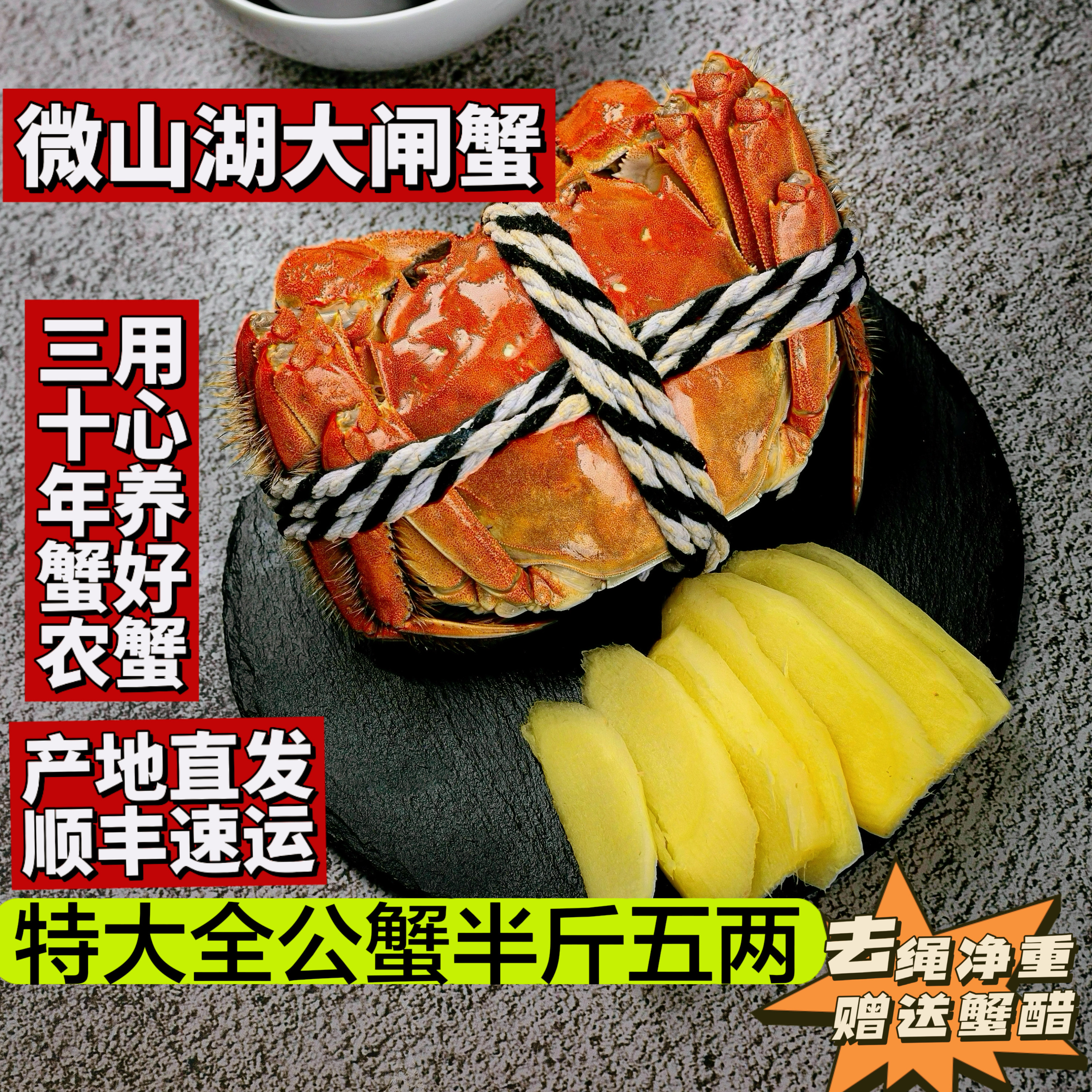 微山湖特大螃蟹精品大闸蟹鲜活
