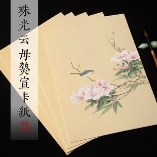 宣纸珠光云母熟宣方形卡纸A3A4仿古熟宣纸卡纸国画专用纸矾宣没骨画纸工笔画花鸟没骨画加厚熟绢纸宣纸软卡纸