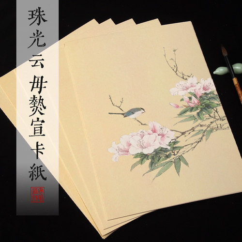 宣纸珠光云母熟宣方形卡纸A3A4仿古熟宣纸卡纸国画专用纸矾宣没骨画纸工笔画花鸟没骨画加厚熟绢纸宣纸软卡纸