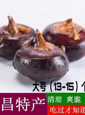 正宗乐昌北乡大号马蹄 荸荠地栗乌芋 新鲜水果 韶关特产 10斤礼盒