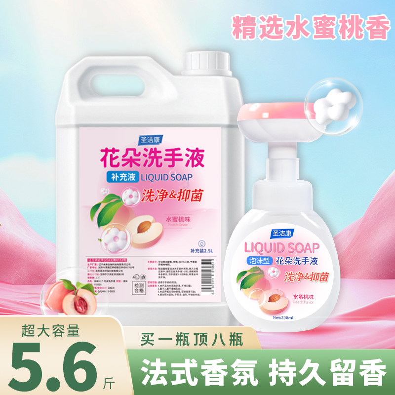 泡沫洗手液补充装抑菌酒店商用图片