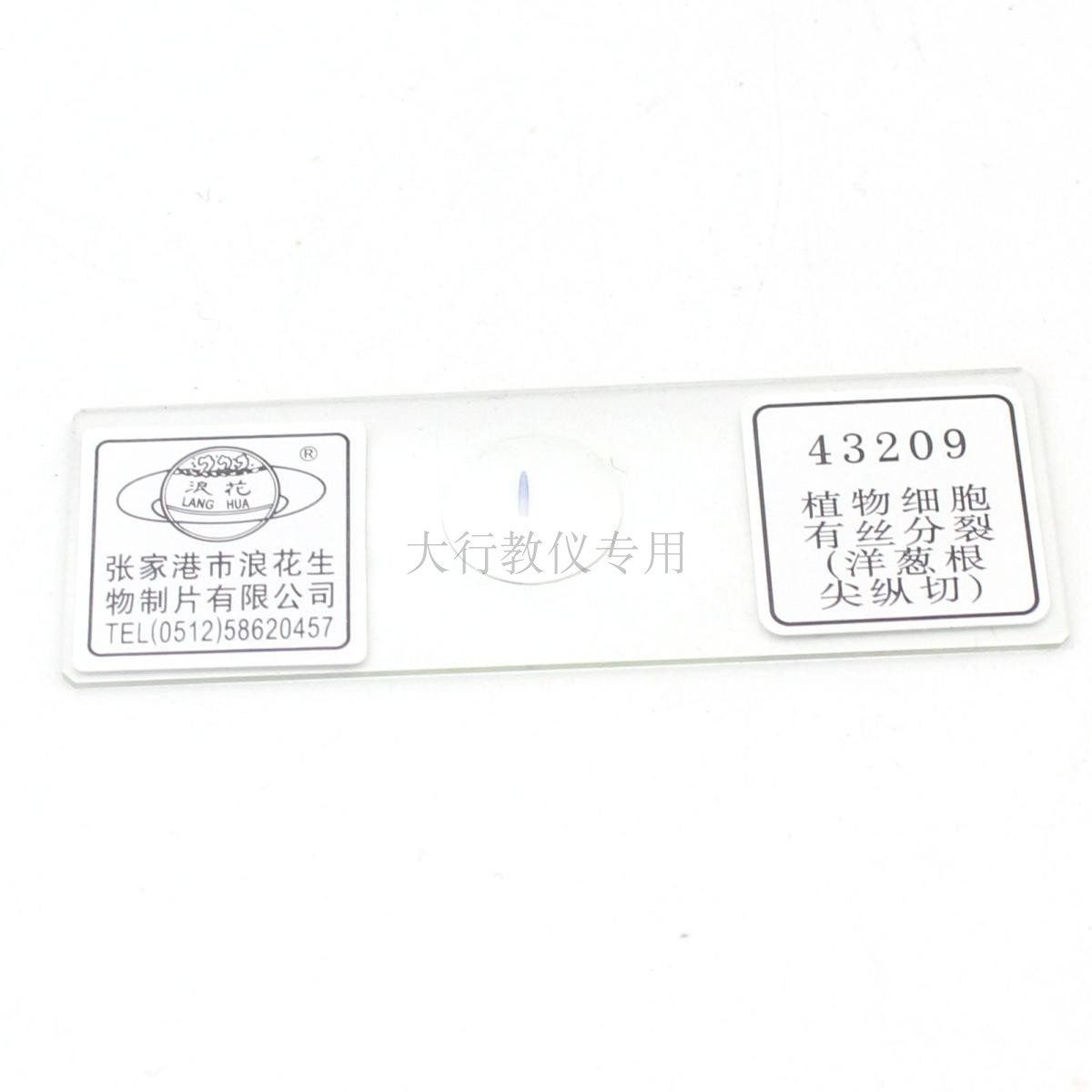 43209植物细胞有丝分裂洋葱根尖纵切中学生物中考实验浪花牌切片