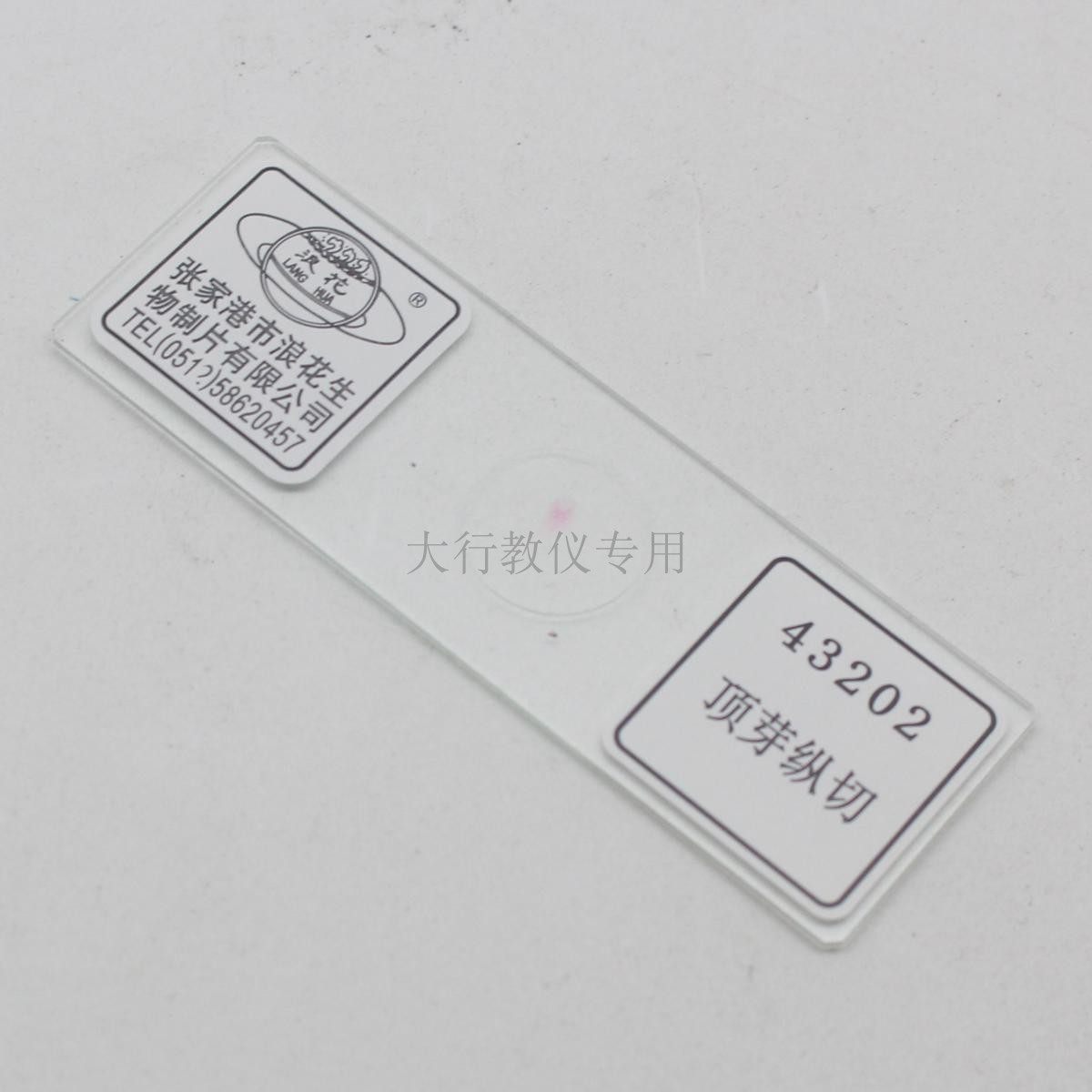 43202顶芽纵切张家港浪花牌生物切片玻片涂片实验室用器材教具