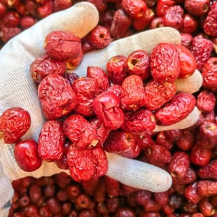 沧州金丝小枣去核免洗鸡心枣红枣豆浆枣糕枣香大枣