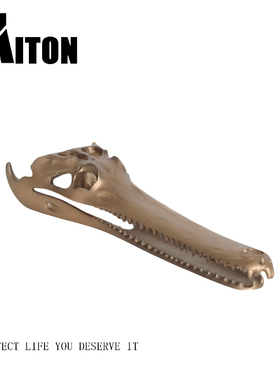 现代轻奢抽象鳄鱼头骨摆件