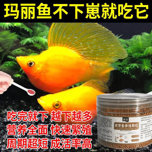 玛丽鱼饲料促下崽产卵爆缸鱼食皮球玛丽鱼小鱼苗促长防病营养粮