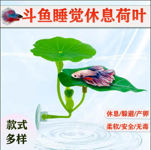 斗鱼休息叶躲避叶产卵荷叶仿真树叶睡觉床鱼缸造景装饰斗鱼休息叶