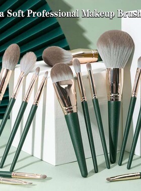 Makeup Brush Set, Powder Eyeshadow Blush Cosmetic Brushes