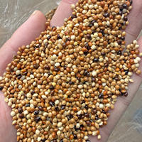 Natural Mixed Seeds Bird Seed Mix, Parrot Food Daily Blend thumbnail 3