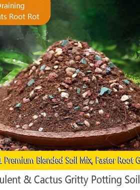 Cactus Succulent Gritty Soil Mix, Well-Draining Potting Soil