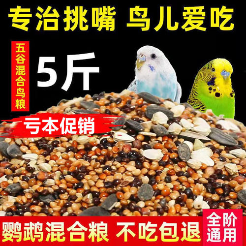 parrot fodder,yellow millet withshell,mixed millet bird food