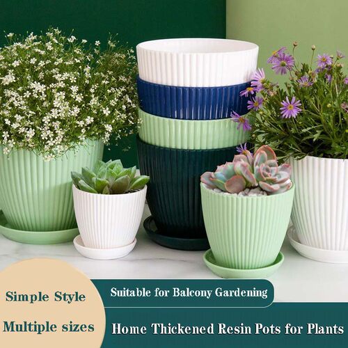 Thick Resin Cactus Plant Pots, Drainage Hole Flower Planters