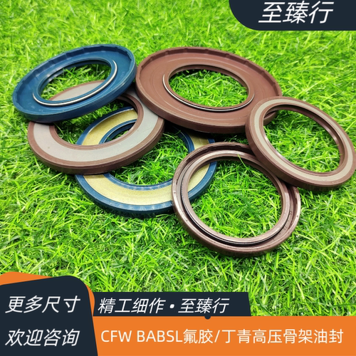 CFW BABSL氟胶TCV高压骨架油封45*58*7 140*170*15 185*205*10.5