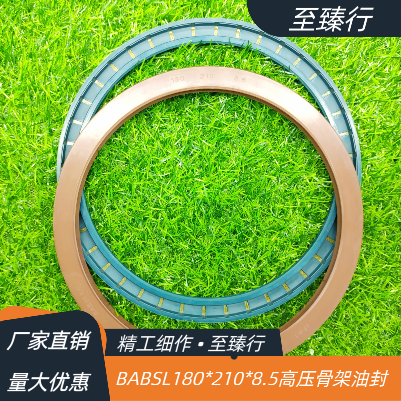 CFW BABSL1.0氟胶TCV高压骨架油封180*210*8.5 BAUSL80*140*13/10