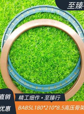 CFW BABSL1.0氟胶TCV高压骨架油封180*210*8.5 BAUSL80*140*13/10