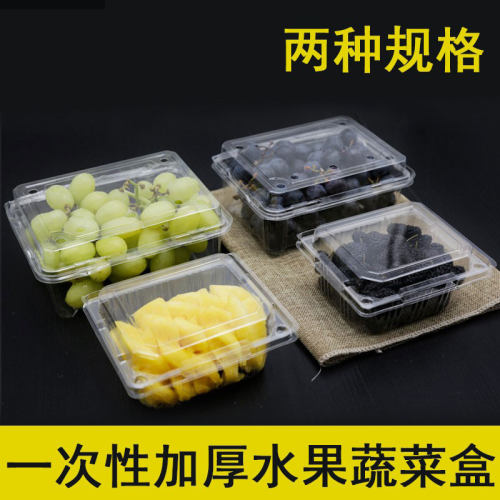 Otop水果蔬菜草莓连盖透明保鲜盒
