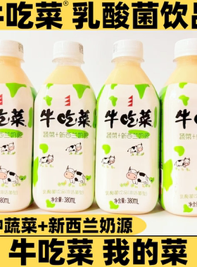牛吃菜12种蔬菜复合新西兰奶源儿童乳酸益生菌饮料380ml早餐酸奶