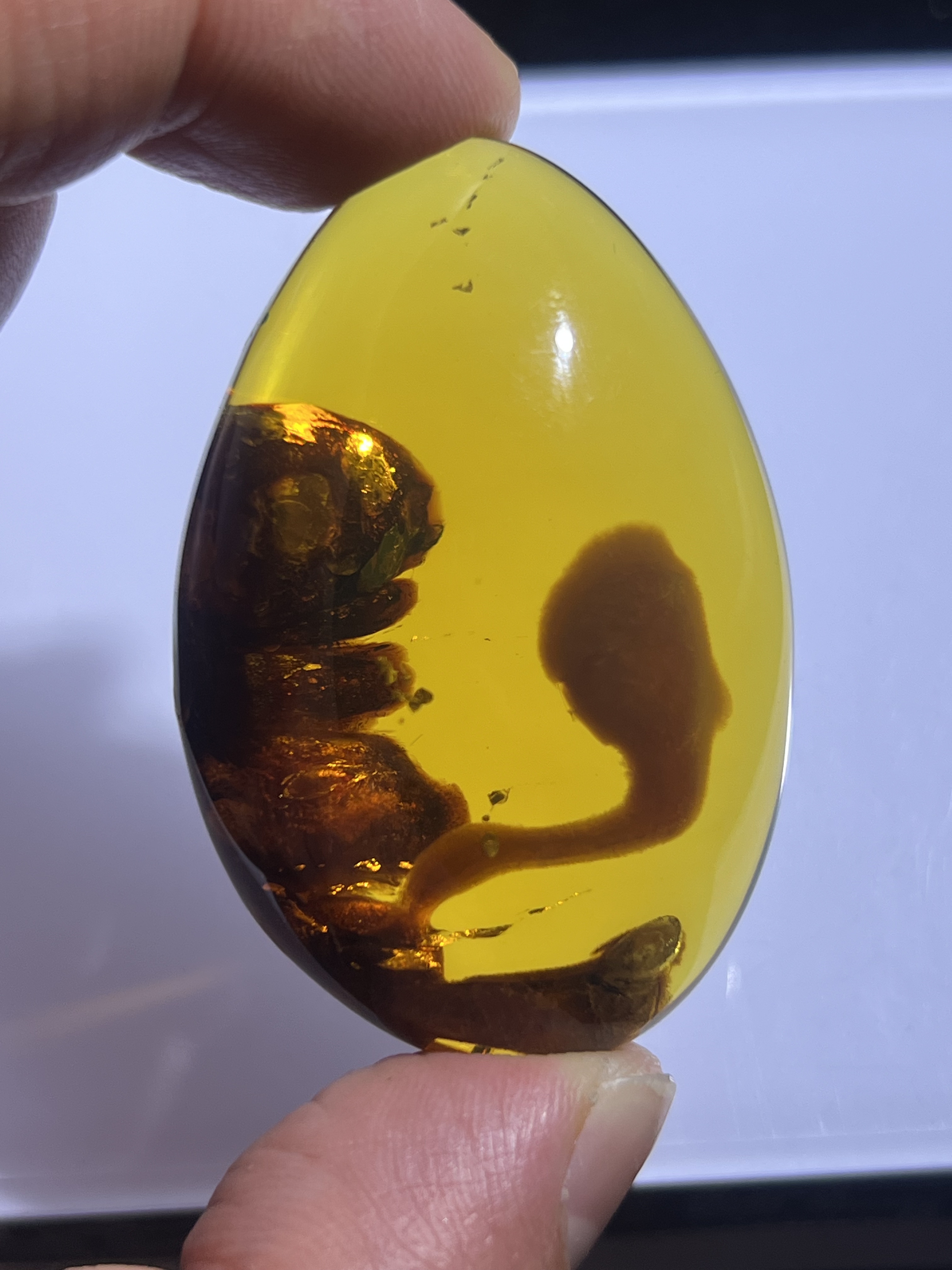 缅甸琥珀特色植物溶洞意境蛋面17.6克克天然保真