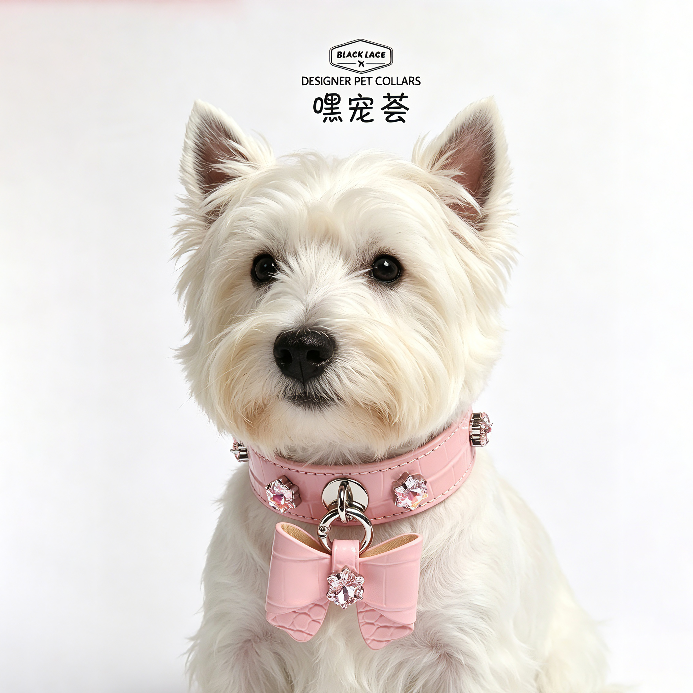 魅力黑蝴蝶结-K9雪花钻真皮狗狗项圈配饰中小型犬宠物脖圈牵引绳