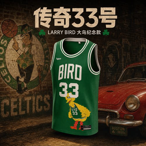 Teamname定制透气大鸟33号背心