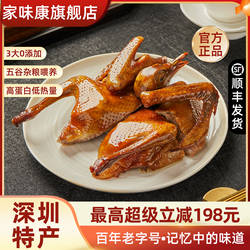 家味康正宗光明乳鸽深圳特产代表性脆皮乳鸽美食烤乳鸽加热即食