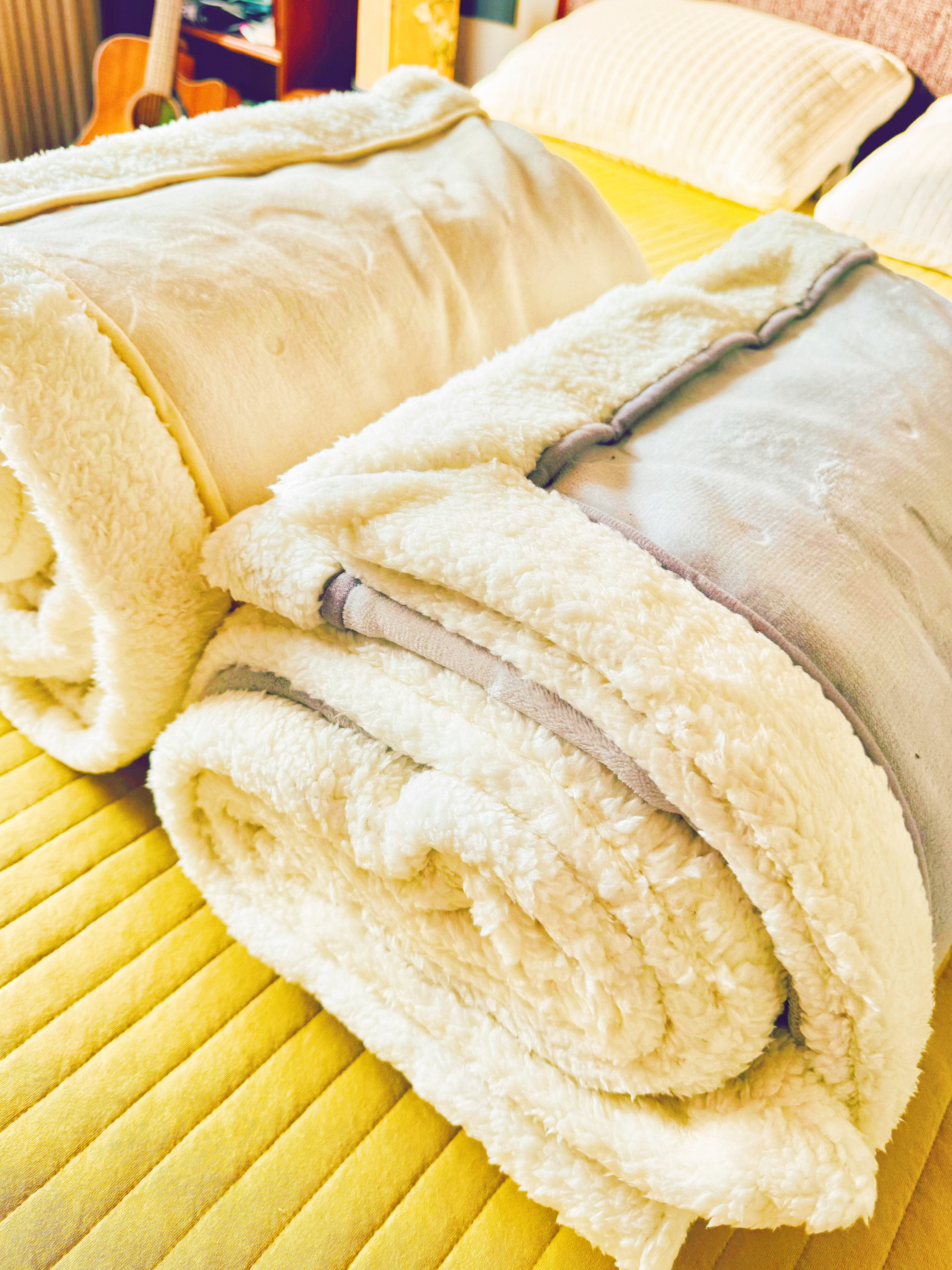 外贸出口加厚秋冬厚实盖毯无夹棉双人加大法兰绒羊羔绒毯子可盖铺