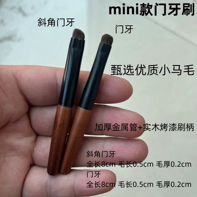 沧州mini小马毛眼部小门牙细节刷