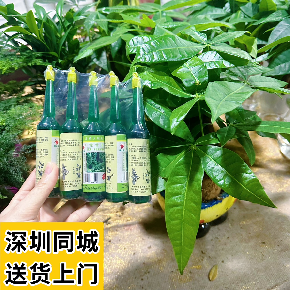 植物营养液养花通用型花卉叶面肥水培绿植盆栽液体肥多肉果树肥料