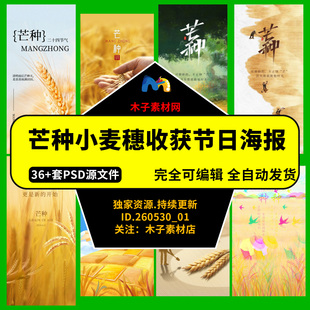 二十四24节气芒种小麦穗收获节日海报朋友圈插画H5推广