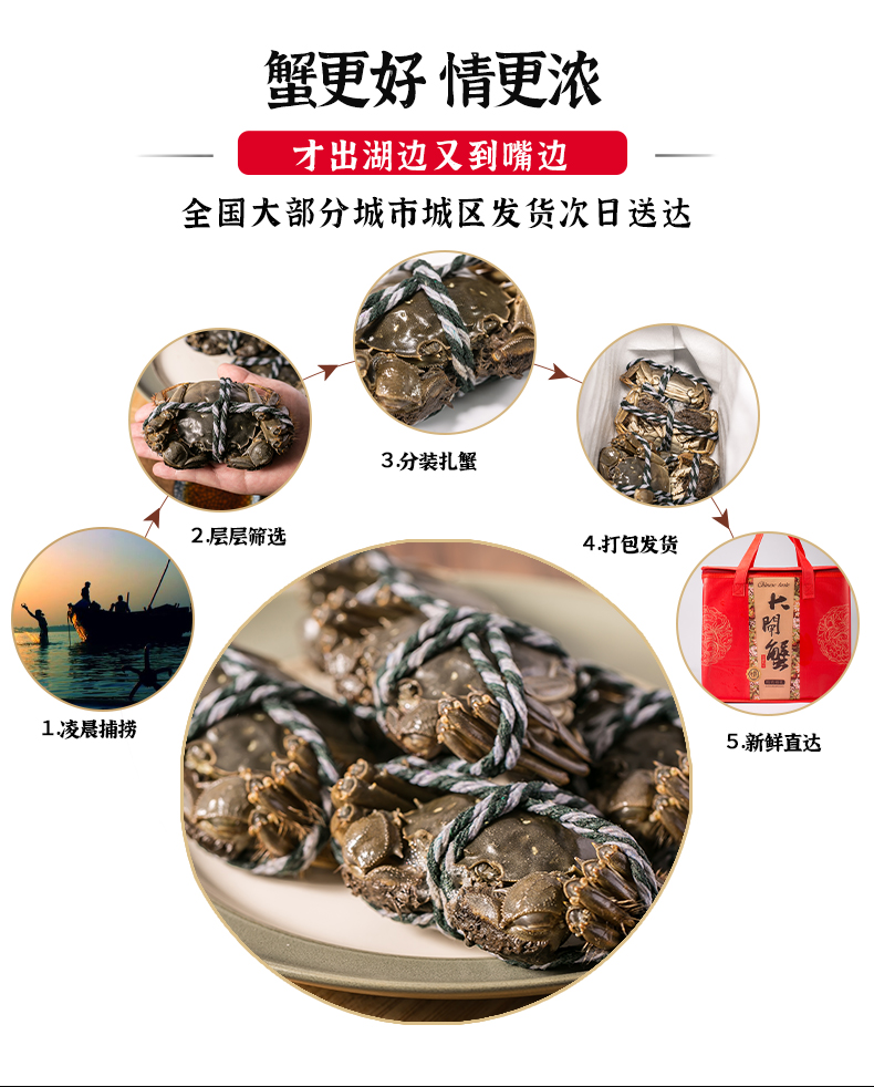 【两天内发货】答蟹大闸蟹4.5两母蟹，5.5两公蟹，8只高端送礼8只 水产肉类/新鲜蔬果/熟食 大闸蟹 原图主图