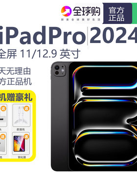 Apple/苹果 11 英寸 iPad Pro - 标准玻璃面板 pro2024款平板电脑