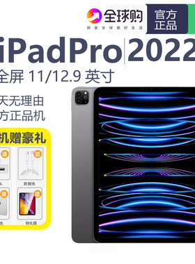 Apple/苹果11英寸iPadPro2022款 (第四代)2021/2020学生平板电脑