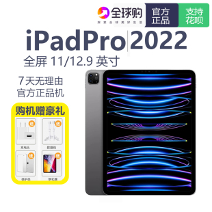 2021 第四代 2020学生平板电脑 苹果11英寸iPadPro2022款 Apple