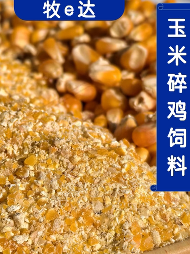 高蛋白高品质玉米碎健康有保障